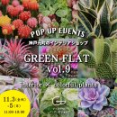 『GREEN-FLAT vol.9～interior×colorful plants』2