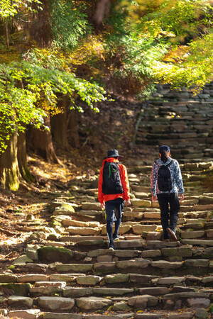 【福岡県久留米市】赤く色づいた木々を見ながらのんびり山を散策しませんか？