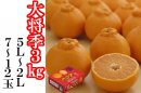 鹿児島県産大将季3kg 鹿児島県産大将季3kg