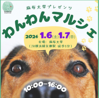 麻布大学と立教大学が相模原市中央区、相模原市獣医師会の協力のもと、地域のつながりと住民の幸福度を高めることを目指した「わんわんマルシェ」を開催