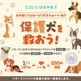 【ドギーマンハヤシ】2023年保護犬を救おうキャンペーン