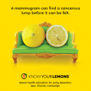 KNOWYOURLEMONS(1) KNOWYOURLEMONS(1)