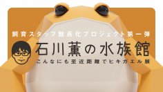 【京都水族館】飼育スタッフ館長化プロジェクトの第1弾
「石川薫の水族館～こんなにも至近距離でヒキガエル展～」