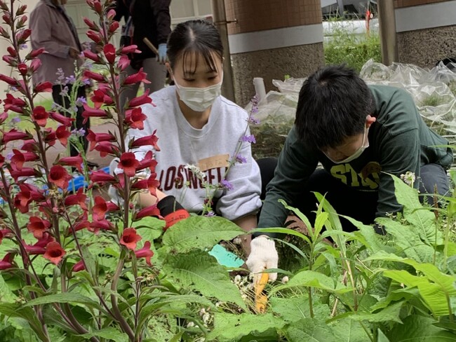 【新潟医療福祉大学】社会福祉学科が緑の環境プラン大賞で国土交通大臣賞を受賞！