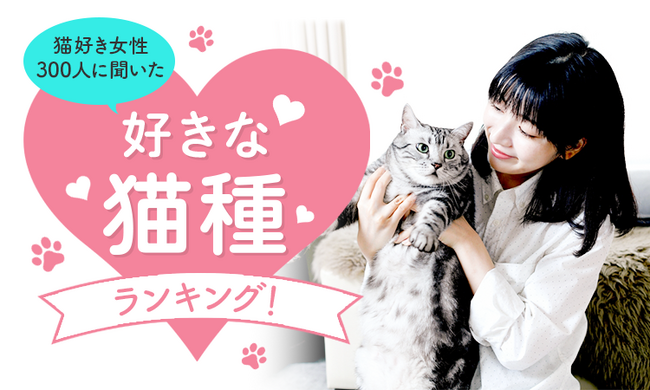 【猫好き女性300人に聞いた】好きな猫種ランキング！2023年最新版