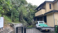 相次ぐ倒木事故で調査依頼が10年で40倍に　交野市の小学校で植樹と命の大切さを学ぶ授業11/11開催