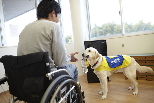 【10/28、29開催】日本身体障害者補助犬学会 第15回学術大会が開催！