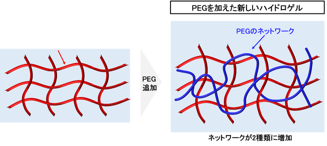 失われたキューティクルの代わりに髪を守り続ける潤滑性と耐久性を両立するヘアケア新素材