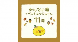 みんなの庭 イベント情報《11月》【MARK IS みなとみらい】 みんなの庭 イベント情報《11月》【MARK IS みなとみらい】