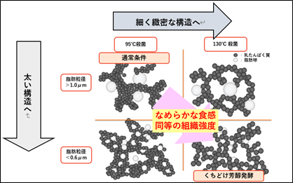 「くちどけ芳醇発酵」で進化した食感・おいしさのメカニズムを解明　8月31日 国際科学雑誌Journal of Dairy Researchに論文掲載