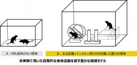 豊かな環境モデルの概要