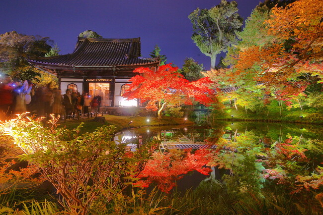 【VMG HOTELS & UNIQUE VENUES】HOTEL VMG RESORT KYOTOより、紅葉の名所として名高い高台寺・圓徳院を巡る「秋の紅葉拝観チケット付き特別宿泊プラン」を販売開始