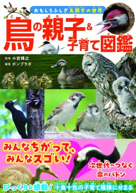 『鳥の親子&子育て図鑑』書影