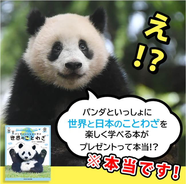 読書週間におススメ！見るだけでパンダに癒されて、世界＆日本のことわざが身につく『グローバルな視点を身につけよう パンダといっしょに学ぶ世界のことわざ』＃パンダの日キャンペーンプレゼント！