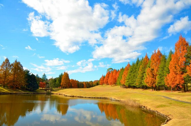 【紫塚ゴルフ倶楽部（栃木県）】ゴルフ旅行を支援～紅葉・旬のグルメ・温泉を満喫する『紫割　宿泊ゴルフパック』の提供をスタート