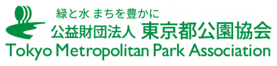 11/12（日）【小峰公園】で「秋の収穫市」を開催いたします！