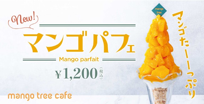 【マンゴたーーっぷり!】 マンゴツリーカフェに新スイーツ「マンゴパフェ」が登場