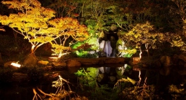 日本庭園の池に映る“逆さ紅葉”で、幻想的な秋の風情を満喫！兵庫・神戸市の「しあわせの村」が、紅葉と菊の花のライトアップを11月2日よりスタート