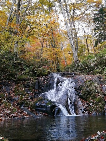 【岐阜県高山市】宇津江四十八滝公園「秋の感謝祭」開催！