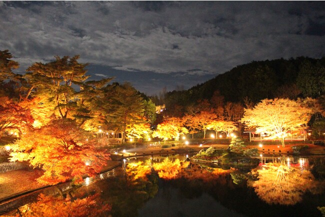 【伊豆の紅葉】修善寺虹の郷、夜空を彩る『もみじライトアップ』＆『秋の打ち上げ花火』を開催　11月11日(土)から