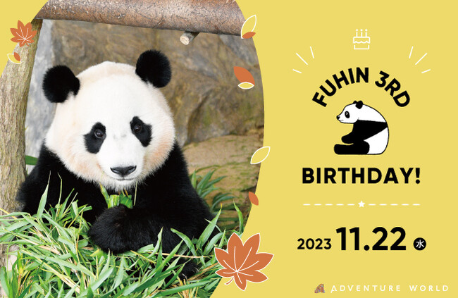 HAPPY PANDA FES ２０２３　ジャイアントパンダ「楓浜（ふうひん）」３歳の誕生会　２０２３年１１月２２日（水・休園日）