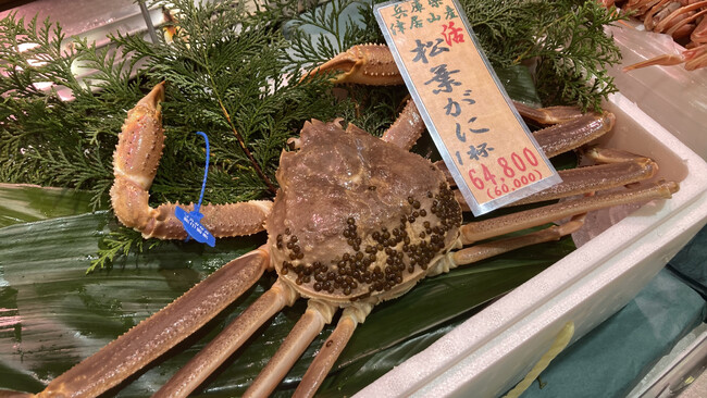 冬の味覚の王様“松葉ガニ”阪急うめだ本店に、いち早く入荷しました！