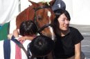 馬の展示・ふれあいコーナー 馬の展示・ふれあいコーナー