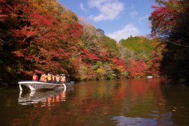 間近で見る亀山湖の紅葉は鮮やかの一言！関東随一の紅葉スポットをお楽しみください。