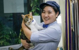 看板猫とペア和紙蝶ネクタイ 看板猫とペア和紙蝶ネクタイ