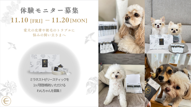 ツバメの巣のペットケアブランド「MIRANEST」がモニター募集開始！