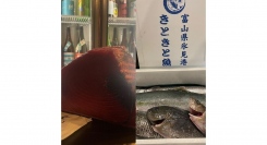 氷見直送鮮魚と生本マグロが出る寿司食べ放題＆日本酒５０種飲み放題！プラス１０００円で痛風鍋できます