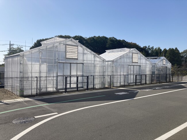 【東京都町田市】町田市バイオエネルギーセンターが生み出すCO2をイチゴ栽培に有効活用