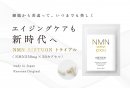 参考資料(1)
