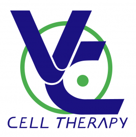 VCCT ロゴ