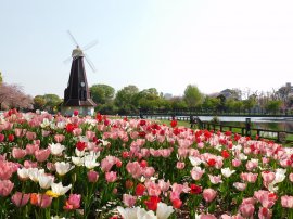 春の浮間公園の様子(2021年撮影) 春の浮間公園の様子(2021年撮影)