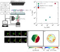 選択的カラーイメージング法を用いた流体混合現象の新しい計測手法を開発