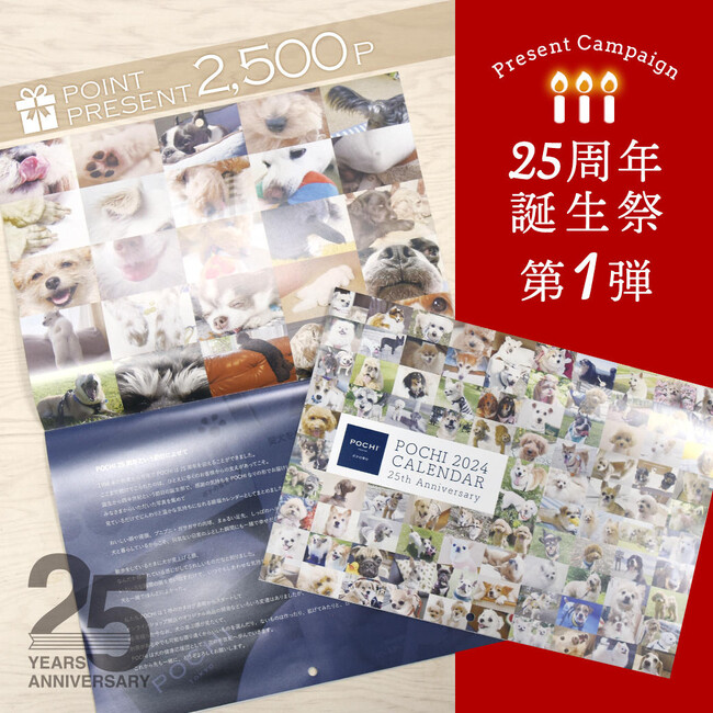 《POCHI》日ごろの感謝を込めて、「25周年誕生祭」を開催