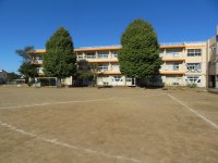 小学校に花の苗を届け続けて３３年 贈呈した苗は東京ドーム約６個分の面積になりました