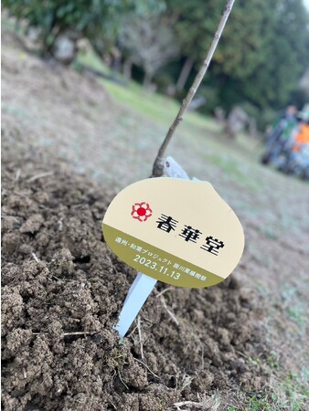 春華堂、「遠州・和栗プロジェクト 掛川栗植樹祭 in 掛川 早川栗園」に参加!