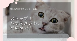 ハラスメントに一人で悩まないために、情報共有・相談サイトを制作！クラウドファンディングサイト「CAMPFIRE」で、プロジェクト支援金を11月15日に募集開始