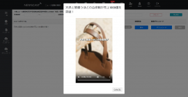 動画生成画面(NEWSCAST)