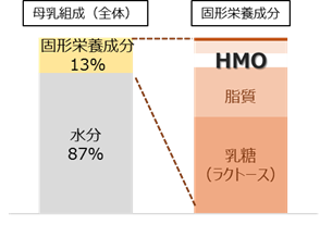 ヒトミルクオリゴ糖 6SLが欧州連合にて新規食品として承認