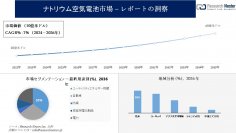 ナトリウム空気電池市場調査の発展、傾向、需要、成長分析および予測2024―2036年