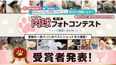 わんにゃん肉球フォトコンテスト受賞者を発表　犬・猫の“かわいい肉球”700件超集まる