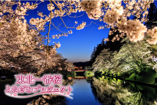 山形県米沢市の「伝統の灯」を絶やしたくない！東北最大級の冬の祭典「上杉雪灯篭まつり」に、一番桜を咲かせる「東北一番桜よねざわプロジェクト」スタート