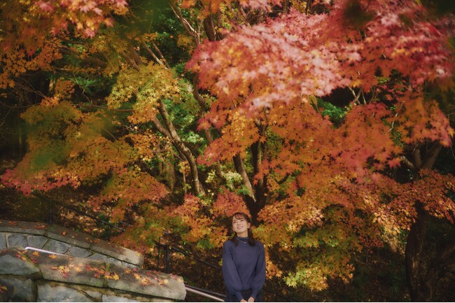 神戸の紅葉の名所「布引の紅葉」間もなく見ごろに。秋色に彩るガーデンと紅葉が調和した自然の織りなす”いくつもの”情景を楽しめます。ロープウェイの車窓からは色づく六甲山脈の壮大な景色が眼下に広がります