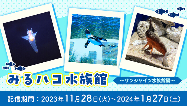 カラオケルームで心安らぐ癒しのひとときを！サンシャイン水族館で暮らすペンギンなど生き物たちの映像を、JOYSOUNDの「みるハコ」で無料配信！