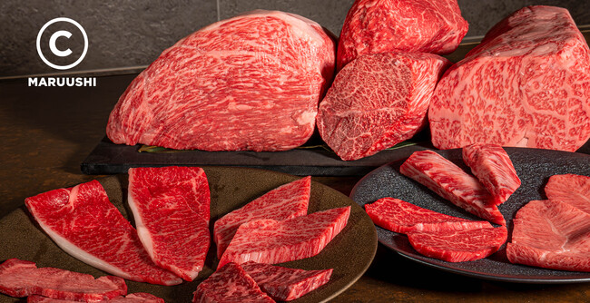 年間400頭しか生産されない天草黒牛A5丸ごと１頭買い！高コスパ焼肉店『マルウシミート』で“食べつくしフェア”11月29日（水）より期間限定で販売開始