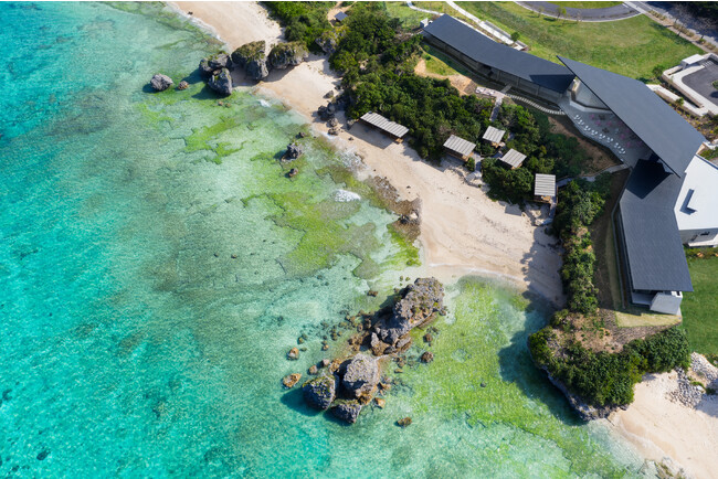【バンタカフェ】海を眺めながらチルアウト、のんびりクジラを待つ「本日も、くじら日和」開催｜期間：2024年1月20日～3月10日