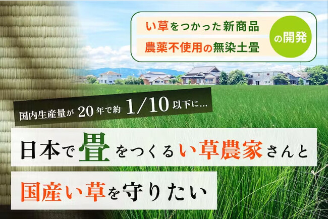 畳の原料『い草』の国内生産量が1/10以下に。アートリフォームグループが、京都さかえ畳店を中心に日本で畳を作る い草農家と国産い草を守るためのプロジェクトを開始。